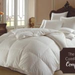 the most comfortable comforters