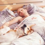 Could Sharing a Bedroom with Your Pets Be Keeping You from Getting a Good Night’s Sleep?