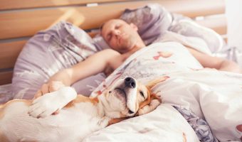 Could Sharing a Bedroom with Your Pets Be Keeping You from Getting a Good Night’s Sleep?