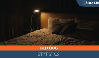 Bed Bug Statistics - Sleep Advisor