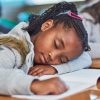 Survey Reveals Sleep’s Critical Role in Student Success